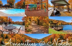 388 Notch Lane, Reeds Spring, MO 65737
