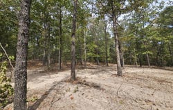 Co Rd 519, Hardenville, MO 65666