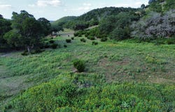 126 Madrone Ridge, Comfort, TX 78013