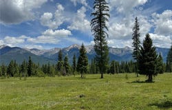 375 Remicks Road, Condon, MT 59826