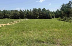 5883 Hwy 123, Lamar, AR 72846