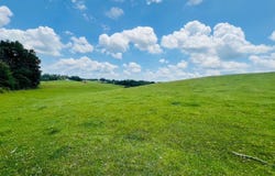 00 Crocus Rd, Glens Fork, KY 42741