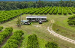 13610 Co Rd 37, Clanton, AL 35045