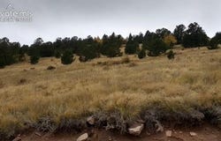 Highway 67, Cripple Creek, CO 80813