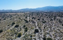 Smoke Tree, Pinon Hills, CA 92372
