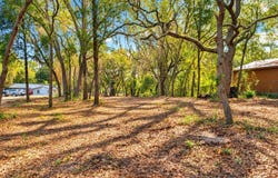 7043 GATORBONE Road, Keystone Heights, FL 32656