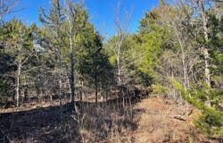 Jones Street, Eufaula, OK 74432