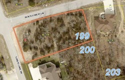 199 Forest Lake Drive, Branson West, MO 65737