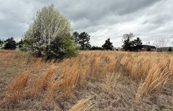 W Grizzly Dr, DeKalb, TX 75559
