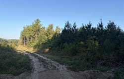 Edge Road, Thornton, AR 71761