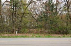 2649 E FOX DRIVE, GRANT, MI 49327