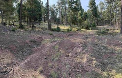 Luna lot: 1581, Angel Fire, NM 87710