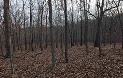 Half Place lot: 2713, Edwards, MO 65326