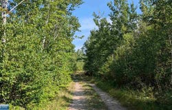 Kennedy Road, Cook, MN 55723