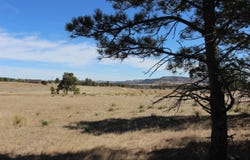 Tract 4 Lariat Circle, Hot Springs, SD 57747-0000