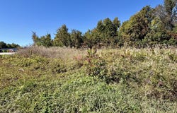 N STRAITS HIGHWAY, CHEBOYGAN, MI 49721