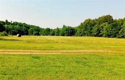 281 County Road 9953, Green Forest, AR 72638