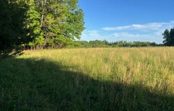 4783 Randolph Road, Edmonton, KY 42129