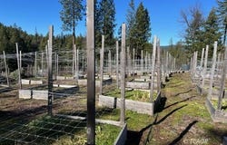 740 Trinity Pines Dr, Hayfork, CA 96041
