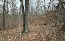 Oak Hollow Rd lot: 25, Moneta, VA 24121
