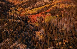 Tract 13 Luis O Torres Rd, Arroyo Seco, NM 87415