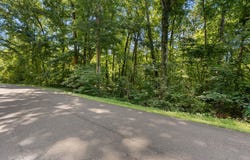 Green Hills Estates Dr Lot #14, PARIS, TN 38242