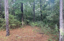4 E Bond Road, Wiggins, MS 39577