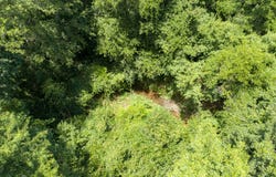 County Road 3154, De Berry, TX 75639