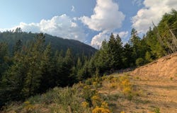 NNA 20.02a Daisy Gulch Rd, Mullan, ID 83846