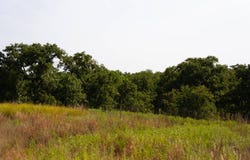 E 1990 Rd, Wilson, OK 73463