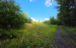 0WP Hilsinger Rd, Harford, NY 13803