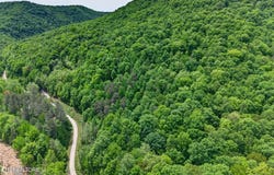 1041 E Obey Lane, Wilder, TN 38589