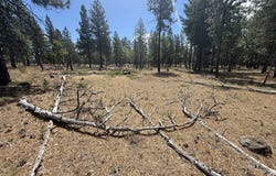 Old Stage Rd, Goldendale, WA 98620