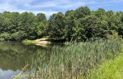 9713 E Birch Road, Bloomfield, IN 47424