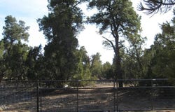 3249 E Aspen Road, Overgaard, AZ 85933