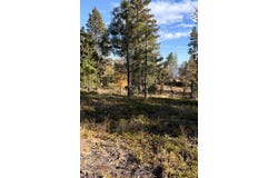 Shaver Lake, Auberry, CA 93602