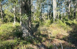 1219 N Paris St, Bell, FL 32619