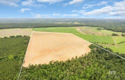Old Stage Road, Repton, AL 36475