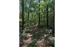 Fallow Road, Lamont, FL 32336