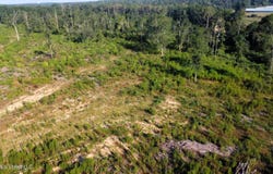 Ebenezer Road, Columbia, MS 39429