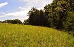 Tract D Hanging Rock Forest Road, Danbury, NC 27016