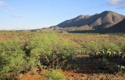 164 Circulo Frutas, Rio Rico, AZ 85648