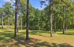 Calloway Place, Southern Pines, NC 28387
