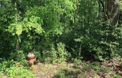 1023 S Peach Ave, Tyler, TX 75701