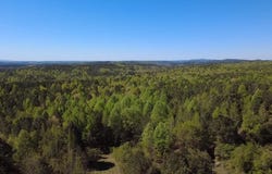 Highway 26, Ragland, AL 35131
