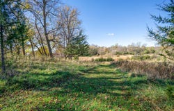 15125 Old Mill Road, Spicer, MN 56288