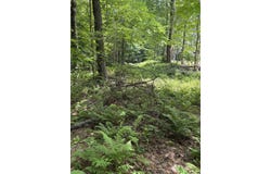 100 Ledge Road, Lisbon, NH 03585
