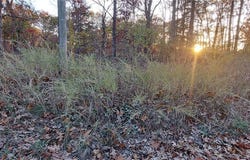 4268 Saw Mill Road, Stover, MO 64078