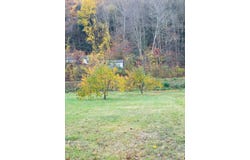 476 Missing Link Road, Springfield, VT 05156