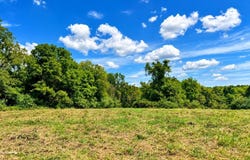 Tract 4 5.27 Ac County Rd 4008, Holts Summit, MO 65043